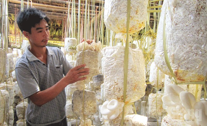anh-dong-van-hiep-chu-trang-trai-nam-tieu-bieu